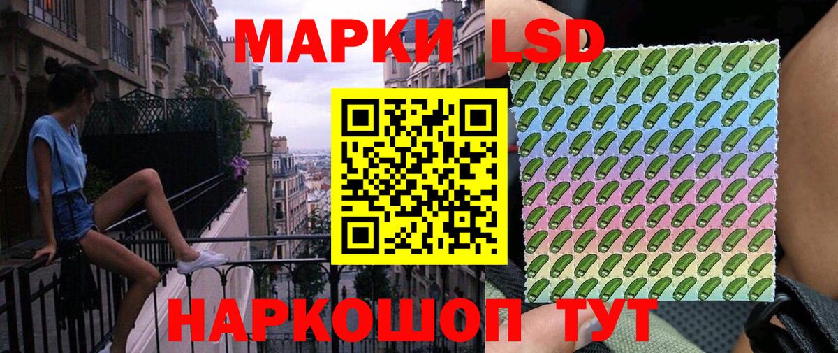 Марки N-bome 1,5мг Елец