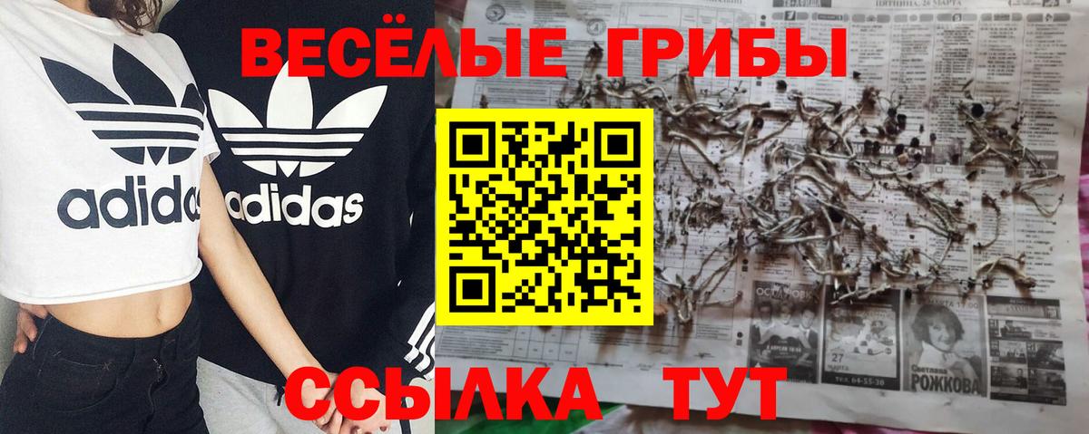Псилоцибиновые грибы мухоморы Елец