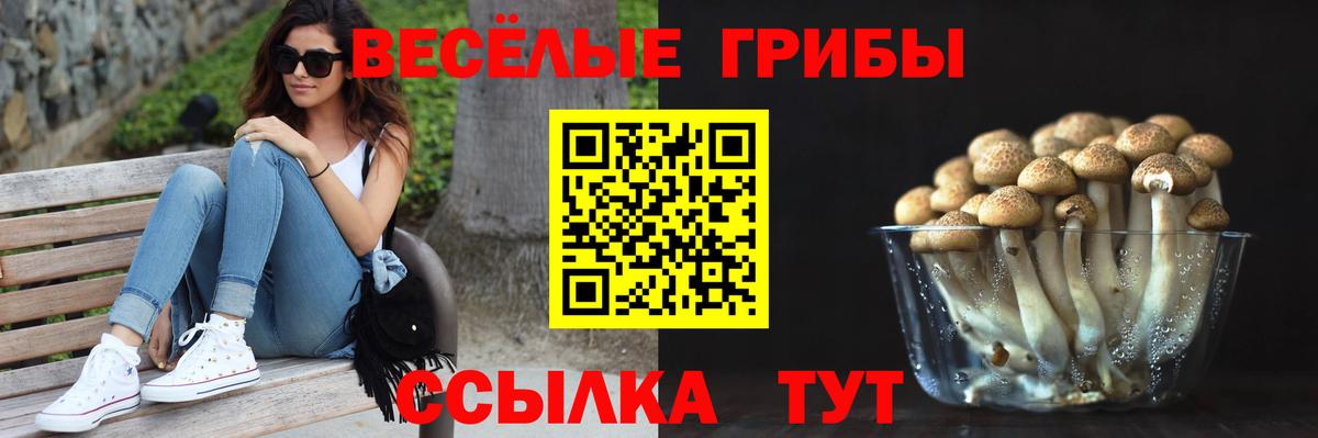 Псилоцибиновые грибы Psilocybine cubensis  Вход с VPN  Галлюциногенные грибы GOLDEN TEACHER  Елец 