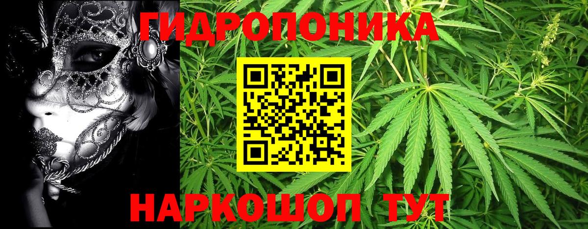 Елец  Канабис LSD WEED  Бошки Шишки White Widow  Шишки марихуана OG Kush  Вход с VPN 